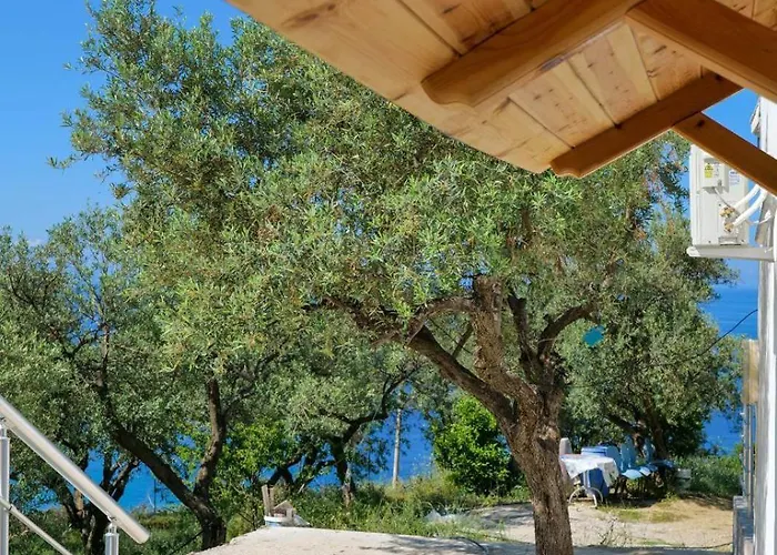 Mateo Daire Qazim Pali