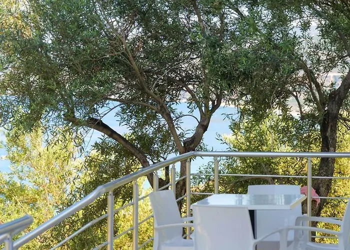 Daire Mateo Qazim Pali